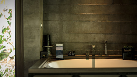 Elegant modern spacious eco-friendly bathroom with bathtubのeditorial素材