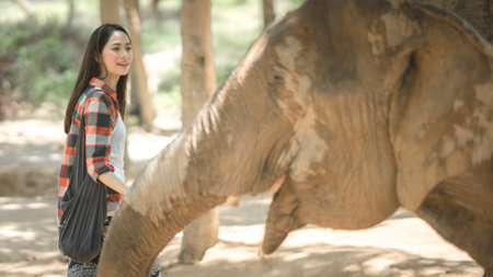 A woman with elephantのeditorial素材