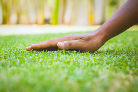 Male farmer strokes manicured lawn with his palm. Man's hand touches the green grass on the field. Fingers touch the grass in the clearing, feeling the nature. Close-upの写真素材