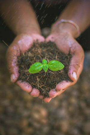 world environment day hand holding on green background Environmental protection and sustainable environment Concept of cooperation to maintain a clean worldの写真素材