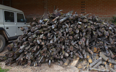 Image of overgrown wooden trunks prepared to burn and thus spend a warm winter in the typical town house.You can have a stove or a fireplace, the important thing is to be prepared for the hash winter.の写真素材