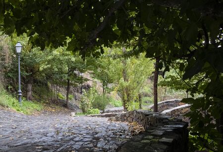 beautiful landscape that conveys tranquility on a rainy dayの写真素材