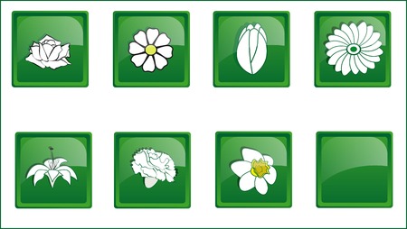 eight green icons with flowers rose. camomile. tulip. Transvaal daisy. lily. carnation, narcissusのイラスト素材