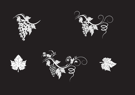 the stylized grapevine with leaves and clusters of grapes, a patternのイラスト素材
