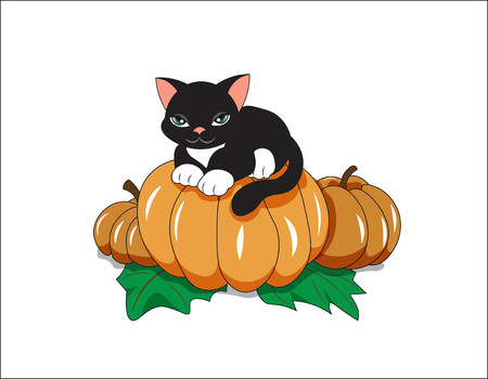 the lovely black cat a kitten, the imp, sits on orange pumpkin, Halloween pictureのイラスト素材