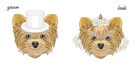 two vector puppys, Yorkshire terrier dogs, groom and bride. Picture in hand drawing cartoon style, for t-shirt wear fashion print design, greeting card, postcard. party invitation.のイラスト素材