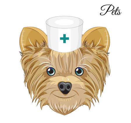 Lovely vector puppy, dog pets doctor. Picture in hand drawing cartoon style, for t-shirt wear fashion print design, greeting card, postcard. party invitation.のイラスト素材