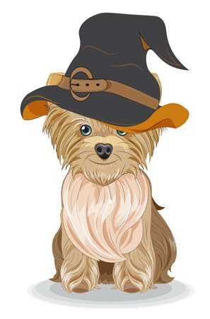 Lovely vector puppy, dog in Halloween hat. Picture in hand drawing cartoon style, for t-shirt wear fashion print design, holidaygreeting card, postcard. party invitation.のイラスト素材