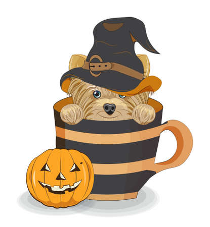 Lovely vector Halloween puppy, dog in witch hat, in cup near pumpkin. Picture in hand drawing cartoon style, for t-shirt wear fashion print design, greeting card, postcard. party invitation.の写真素材