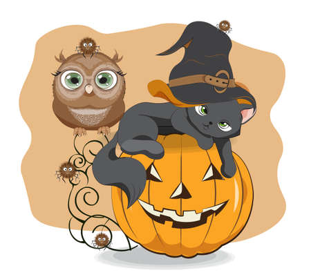Halloween wink black cat in witch hat. owl and spider on pumpkin, Picture in hand drawing cartoon style, for t-shirt wear fashion print design, greeting card, postcard. baby shower. party invitation.のイラスト素材