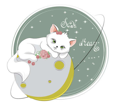 isolated sleepping baby girl cat. kitten in roses flowers, on moon. Picture in hand drawing cartoon style, for t-shirt wear print, fashion design, greeting card, party invitationのイラスト素材