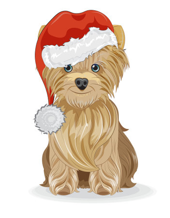 Merry Christmas, New year Yorkshire terrier puppy, dog in santa hat picture in hand drawing cartoon style, for greeting card, postcard. party invitation.のイラスト素材