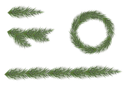 Vector spruce branch, tree element, for drawing, Christmas treeのイラスト素材