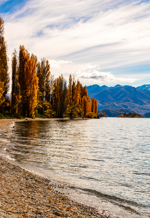 Autumn trees around Wanaka lakeの写真素材