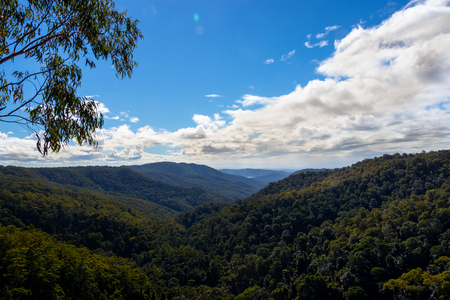 View over Springbrook National parkの写真素材