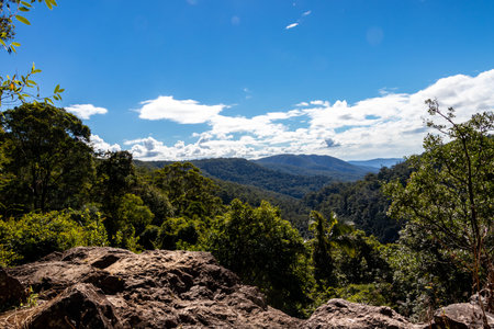 View over Springbrook National park