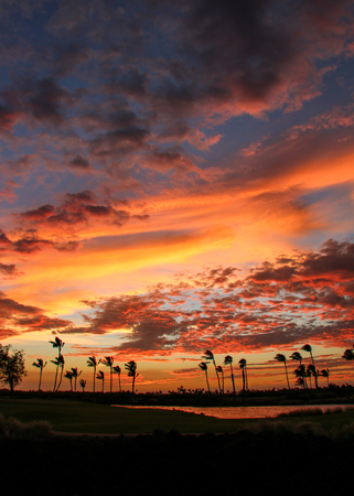 Windy vibrant Hawaii sunsetの写真素材