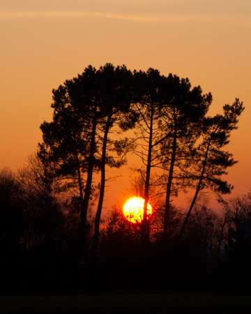 Sunset in Triabaの写真素材