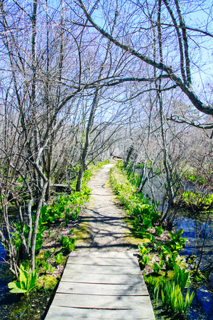 Montauk parkの写真素材