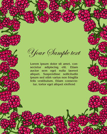 frame of raspberriesのイラスト素材