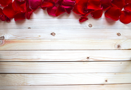 Rose Petals Borderの写真素材