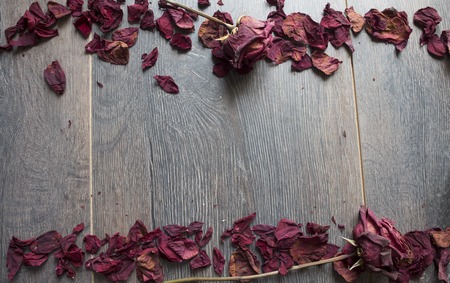 dry rose petalsの写真素材