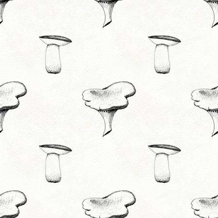 Hand drawn black and white seamless pattern with mushrooms. Sketchy outline monochrome illustration. Boletus, chanterelle, agaric and russala on light background.の写真素材
