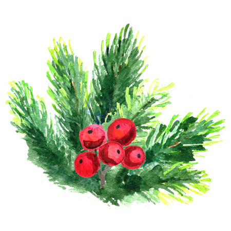 Watercolor illustration Christmas tree branch. Fir-needle elements isolated on white background.の写真素材
