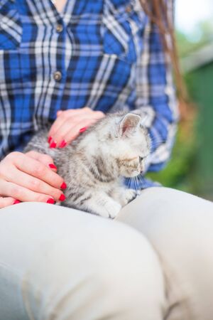 Close up of a cute kitty-cat in the womans hands. Woman stroking her lovely little pet. Outdoorの写真素材