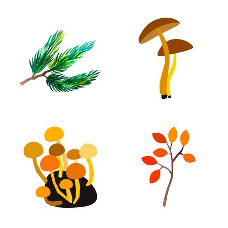 Autumn vector set with berries leaves branches mushrooms and acorns. Seasonal fall collection.のイラスト素材