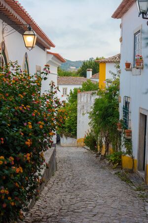 Narrow old cobblestone street. White houses and flowers. Old town Obidos in Portugal, artistic pictureの写真素材