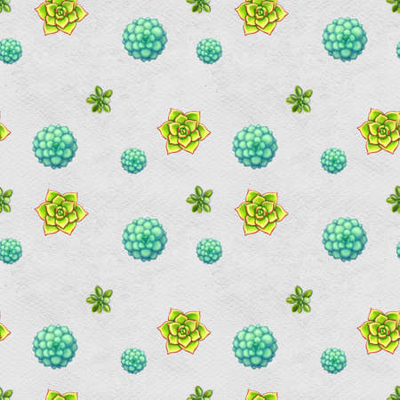 Seamless pattern with succulents. Floral print. Wallpaper with 3d realistic flowers. Textile or wrapping paper.の写真素材