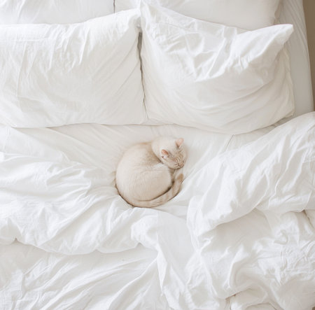 Sleeping cat curled into a warm, fluffy ball on a pristine white bed, embodying serene comfort, cozy domestic calm, and gentle peaceful rest in soft morning lightの素材