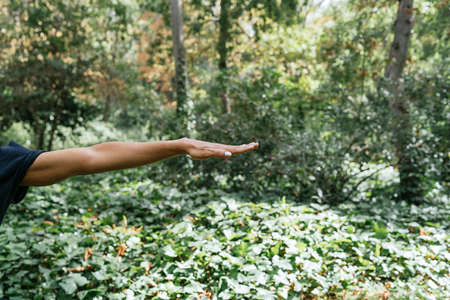 girl practicing yoga in a very beautiful forestの写真素材
