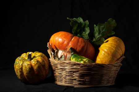A group of pumpkins, placed in a wicker basket,  with a black background and a grazing light. Inspired to Renaissance still life paintings.の写真素材