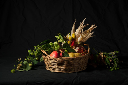 Autumn has come: A group of tipical agricultural products of autumn pumpkins, pears, walnuts, pomegranates, arbutus, corn on a black background with a light grazing. Inspired to Renaissance still life paintings.の写真素材