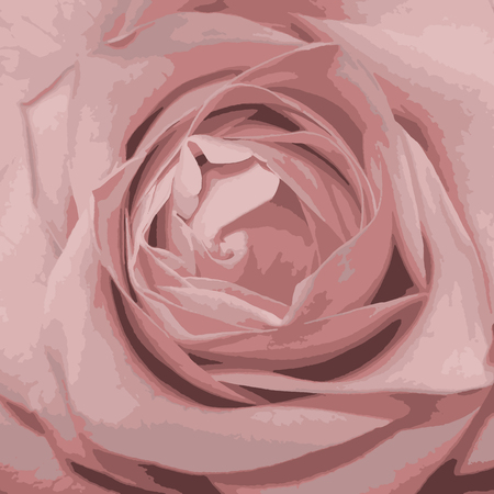 pink rose background close up, wedding cardのイラスト素材