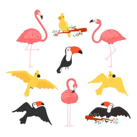 Exotic tropical birds flat style logo icons. Set of vector colorful birds illustration of toucan, cockatoo, parrot, flamingo. Isolated design elements and backgrounds.のイラスト素材