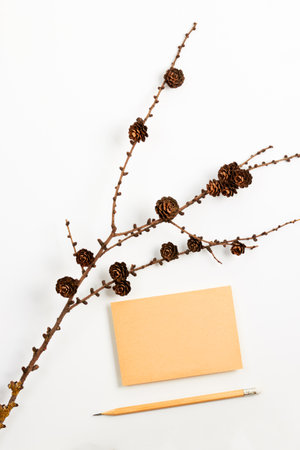 Mock up of a piece of vintage paper on an white table with a christmas fir branch with cones and pencil.の写真素材