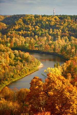 Golden autumn landscape with river Gauja and surrounding colourful forest in October in Sigulda in Latviaの写真素材