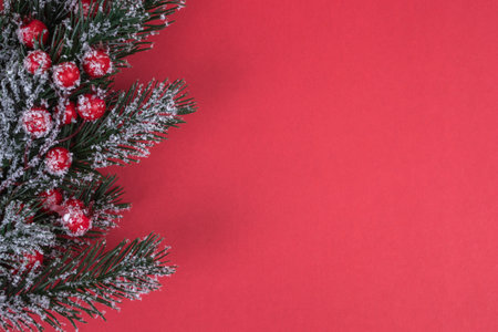 Fir green christmas tree spruce branch with holly covered with snow on red background top view with copy space.の写真素材