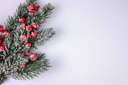 Fir green christmas tree spruce branch with holly covered with snow on white background top view with copy space.の写真素材
