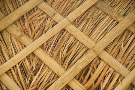 Bamboo wallの写真素材