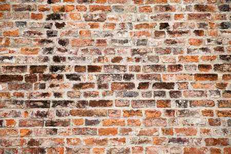 Wallの写真素材