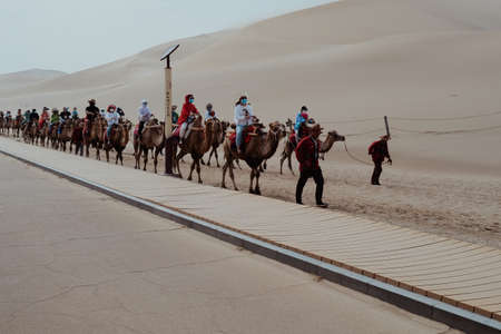 Desert tourismの写真素材