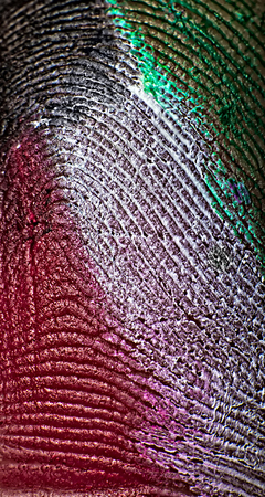 Macro shot for a fingerprint painted with the colors of the flag of Kuwait.の写真素材