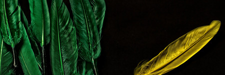 A group of feathers in green with separate feather in yellow set aside. Concept shot for separation or uniqueness.の写真素材