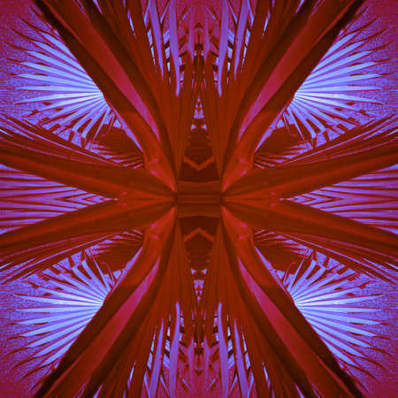 Abstract artwork from palm leaves for various purposes.の写真素材