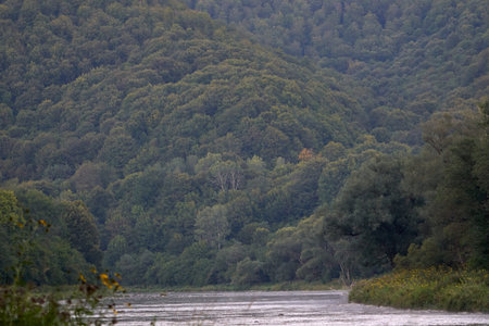 Beautiful landscape of a forested mountain full of trees with different tints of the end of summer...