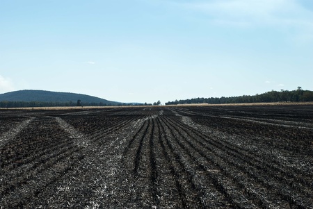 a burned off stubble paddock on a farm の写真素材